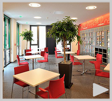 Drahtstühle aus Vollstahl Drahtstühle aus Vollstahl