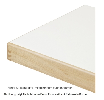 Preview: Rechtecktisch, Klapptischgestell Modell ES, HPL Schichtstoffplatte mit Massivholzkante oder Rahmen